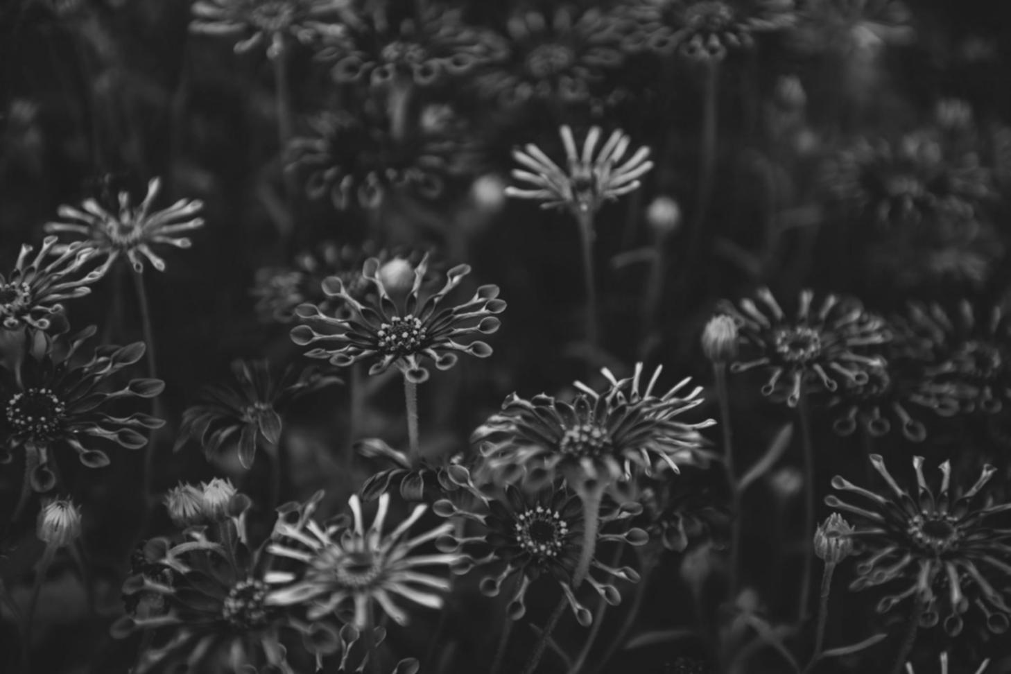 Tylextron çiçek tasarım ekibi çalışması